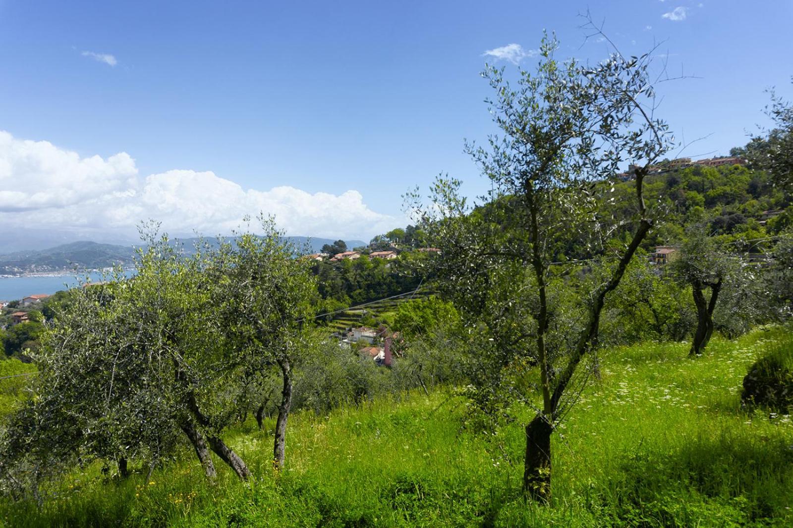 Gli Ulivi Sul Golfo E Le 5 Terre Apartment La Spezia Ngoại thất bức ảnh