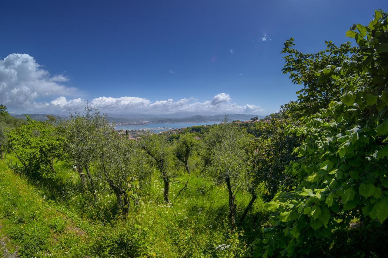 Gli Ulivi Sul Golfo E Le 5 Terre Apartment La Spezia Ngoại thất bức ảnh